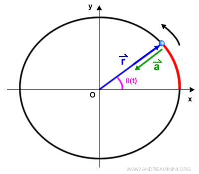 l'accelerazione vettoriale nel moto circolare uniforme