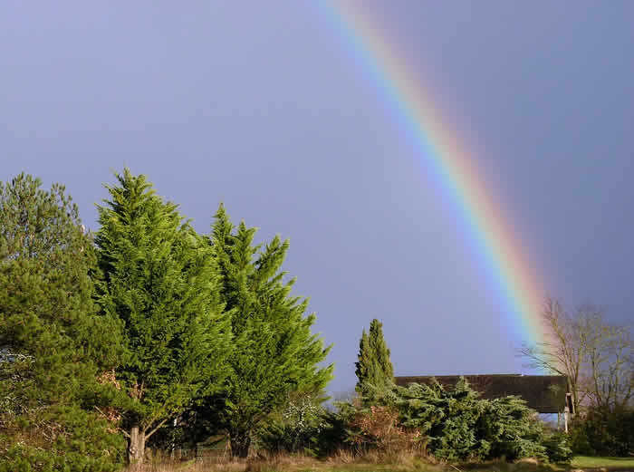 l'arcobaleno nel cielo