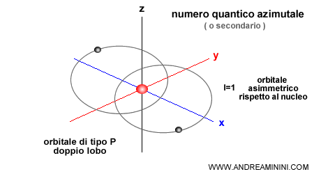 esempio di forma dell'orbitale quando il numero quantico azimutale è uguale a uno
