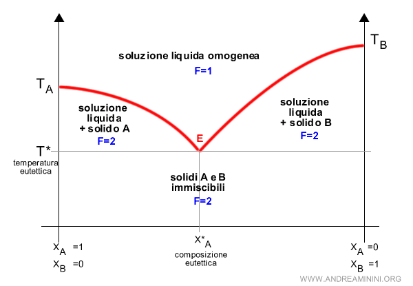 le fasi del diagramma eutettico