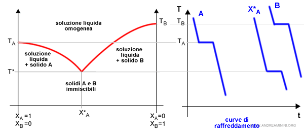 la curva di raffreddamento alla temperatura eutettica