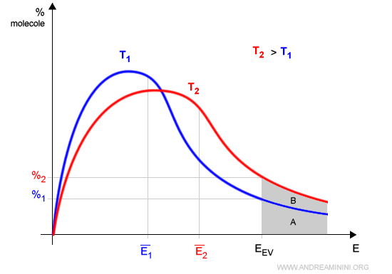 il diagramma delle temperatura e l'evaporazione