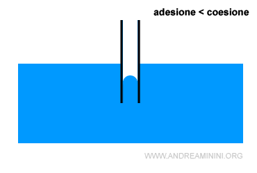 la differenza tra coesione e adesione