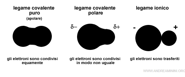 la differenza tra legame covalente apolare, polare e il legame ionico