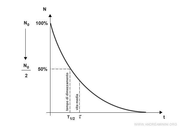 la differenza tra tempo di dimezzamento e vita media