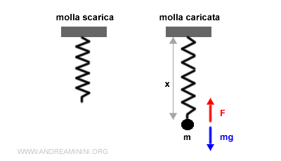 un esempio di dinamometro