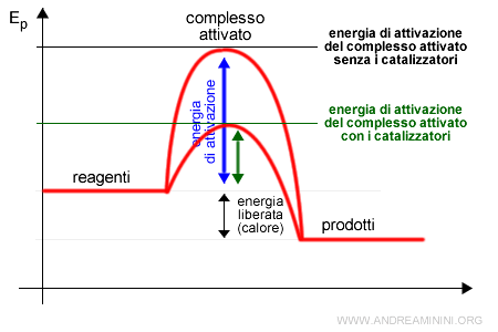 la riduzione dell'energia di attivazione del complesso attivato tramite i catalizzatori