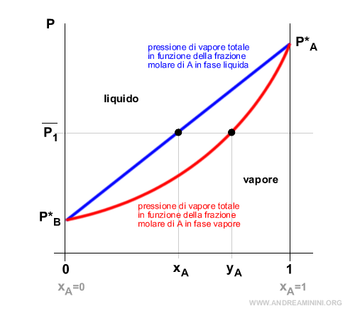 il grafico dell'equilibrio liquido-vapore