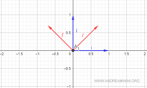 la rappresentazione grafica delle due basi ortonormali