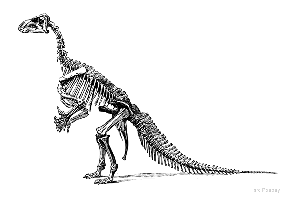 la scoperta dei fossili di dinosauro
