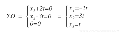 il sistema lineare omogeneo nella forma ridotta