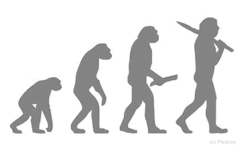 evoluzione delle specie