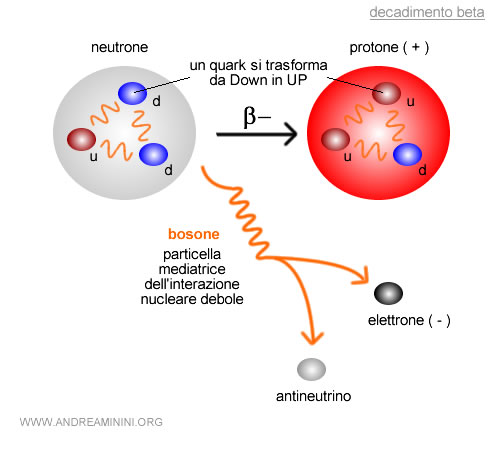 esempio di interazione nucleare debole