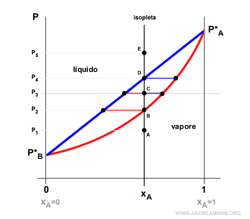 la curva isopleta