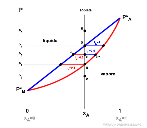 i punti tra le curve di equilibrio