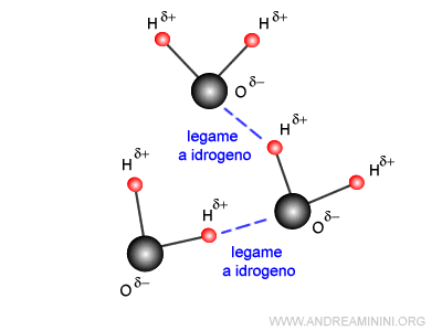 un esempio di legame a idrogeno nelle molecole d'acqua allo stato liquido