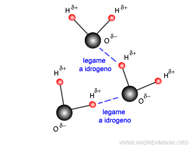 Il legame a idrogeno spiegato in modo semplice - Andrea Minini
