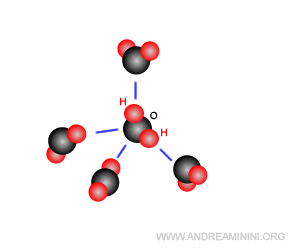 un esempio di legame a idrogeno