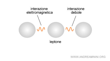 un esempio di leptone