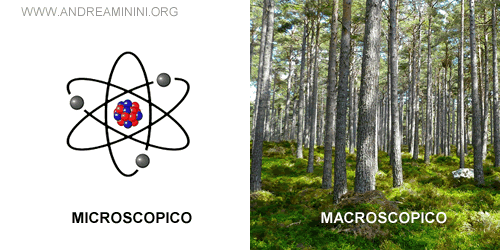 la differenza tra il sistema microscopico e macroscopico in natura