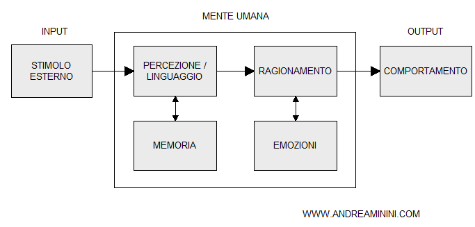 modello cognitivista della psicologia