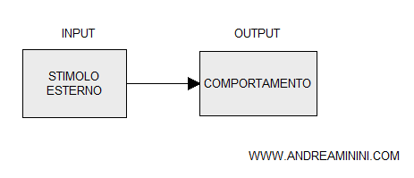 esempio di processo comportamentista