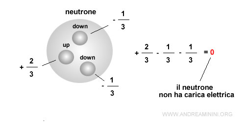 il neutrone è composto da tre quark Down Down Up ( d d u ) che determinano la sua carica elettrica neutra