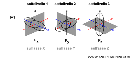 esempio di orbitale di tipo P con tre sottolivelli