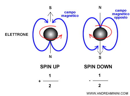 il campo magnetico dello spin