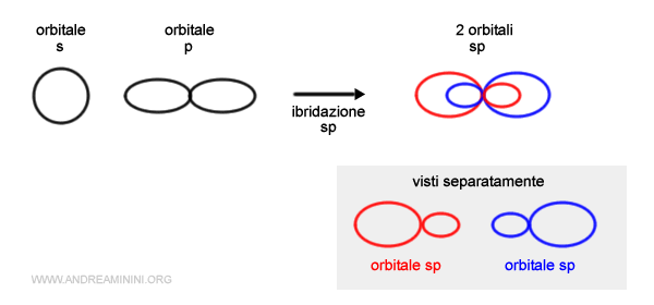 la forma degli orbitali sp