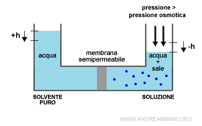 il fenomeno dell'osmosi inversa