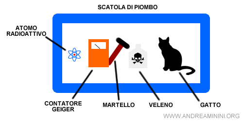 nella scatola entra un gatto