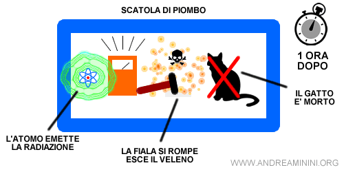 il gatto è morto