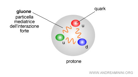 esempio di particella mediatrice dell'interazione nucleare forte