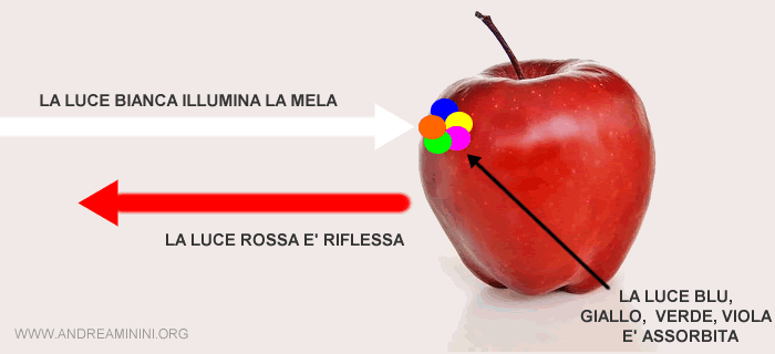 Perché le cose sono colorate andrea minini La luce bianca