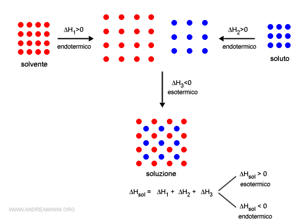 il processo di formazione della soluzione