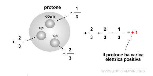 la carica elettrica del protone è determinata dai tre quark Up Up Down ( u u d )