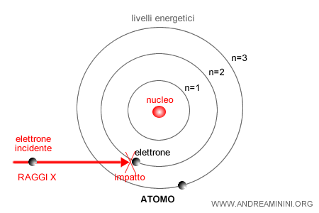 Cosa sono raggi X Andrea Minini