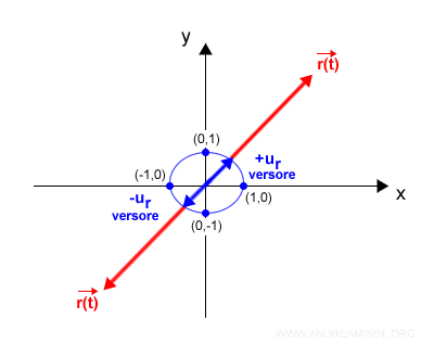 il raggio vettore e il versore