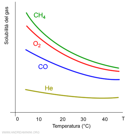 esempio di solubilità di alcuni gas al variare della temperatura