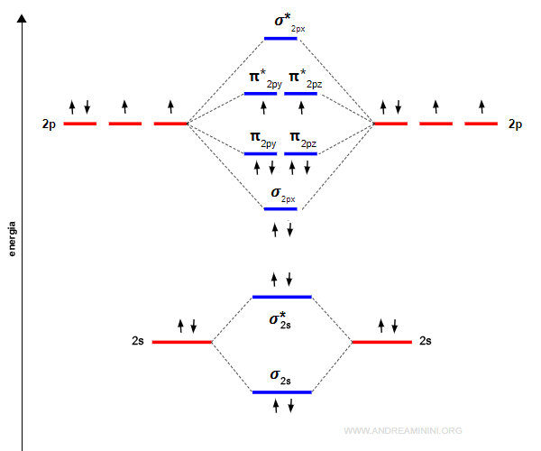il riempimento degli orbitali in una molecola di ossigeno