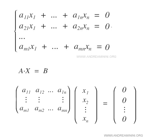 un sistema lineare omogeneo in forma matriciale