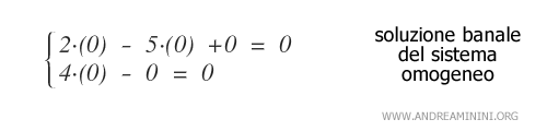 un esempio di soluzione banale del sistema omogeneo