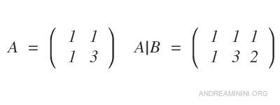 il sistema sotto forma di matrici