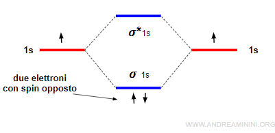gli elettroni si dispongono sullo stesso orbitale con spin opposto