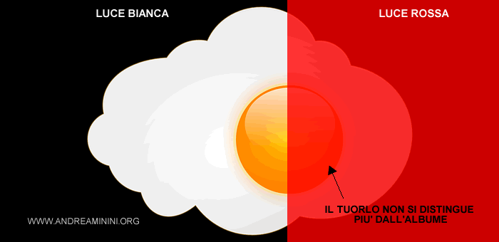 un uovo illuminato con la luce rossa