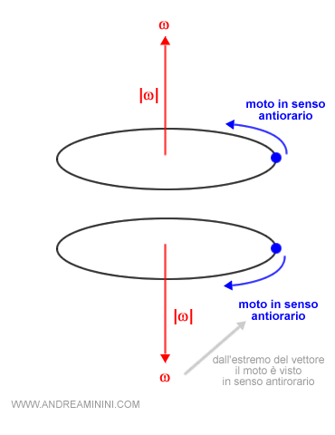 il vettore della velocità angolare