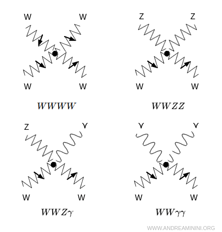 esempio autointerazioni quadrilineari W e Z
