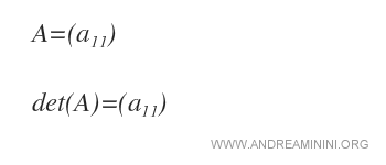 il calcolo del determinante in una matrice quadrata di ordine uno