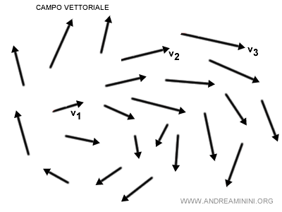 un esempio di campo vettoriale